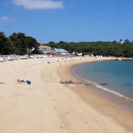 Noirmoutier : plage des dames - Bois de la Chaise
