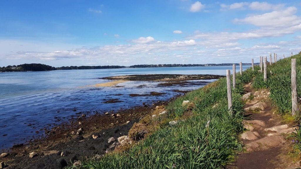 Randonnée sur l'île aux Moines : Pointe du Nioul