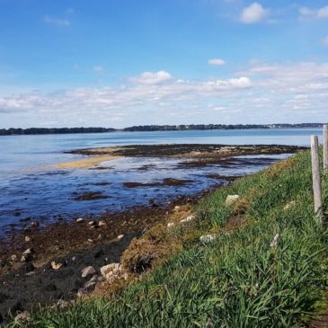 Ile aux Moines : randonnée jusqu’à la pointe du Nioul