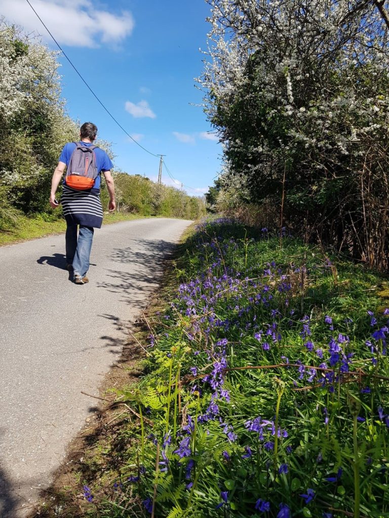 Randonnée sur l'île aux Moines : Pointe du Nioul