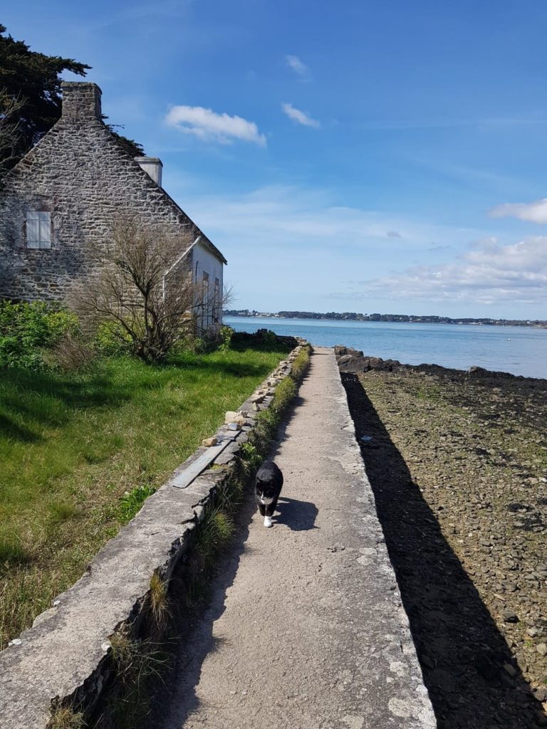 Randonnée sur l'île aux Moines : Pointe du Nioul