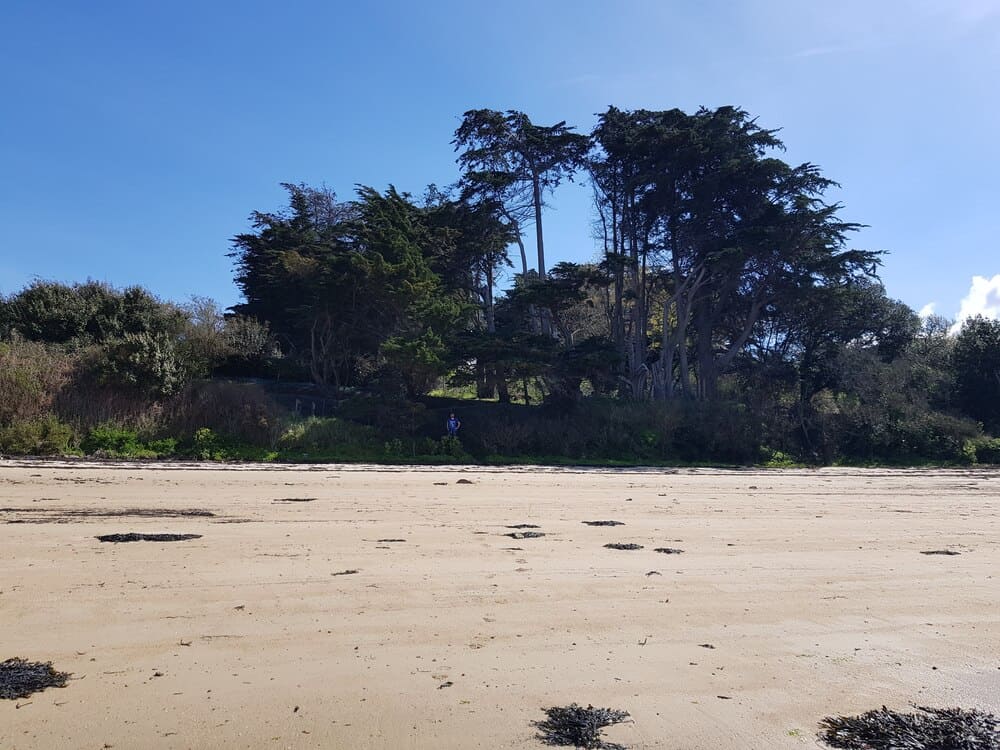 Randonnée sur l'île aux Moines : Pointe du Nioul