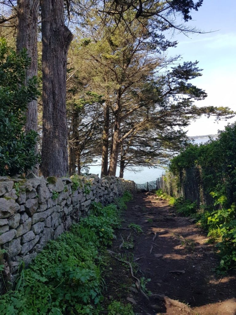 Randonnée sur l'île aux Moines : Pointe du Nioul