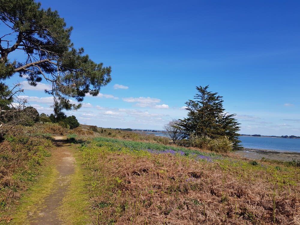 Randonnée sur l'île aux Moines : Pointe du Nioul