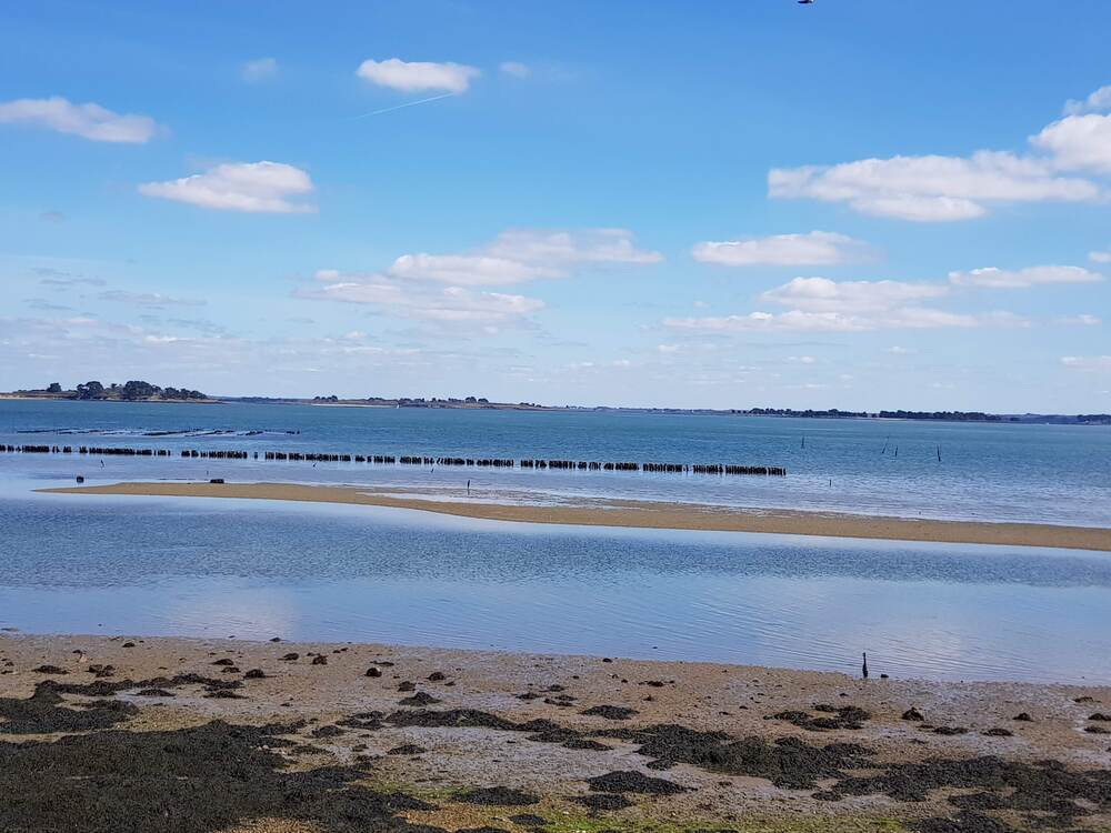 Randonnée sur l'île aux Moines : Pointe du Nioul - parc à huitres