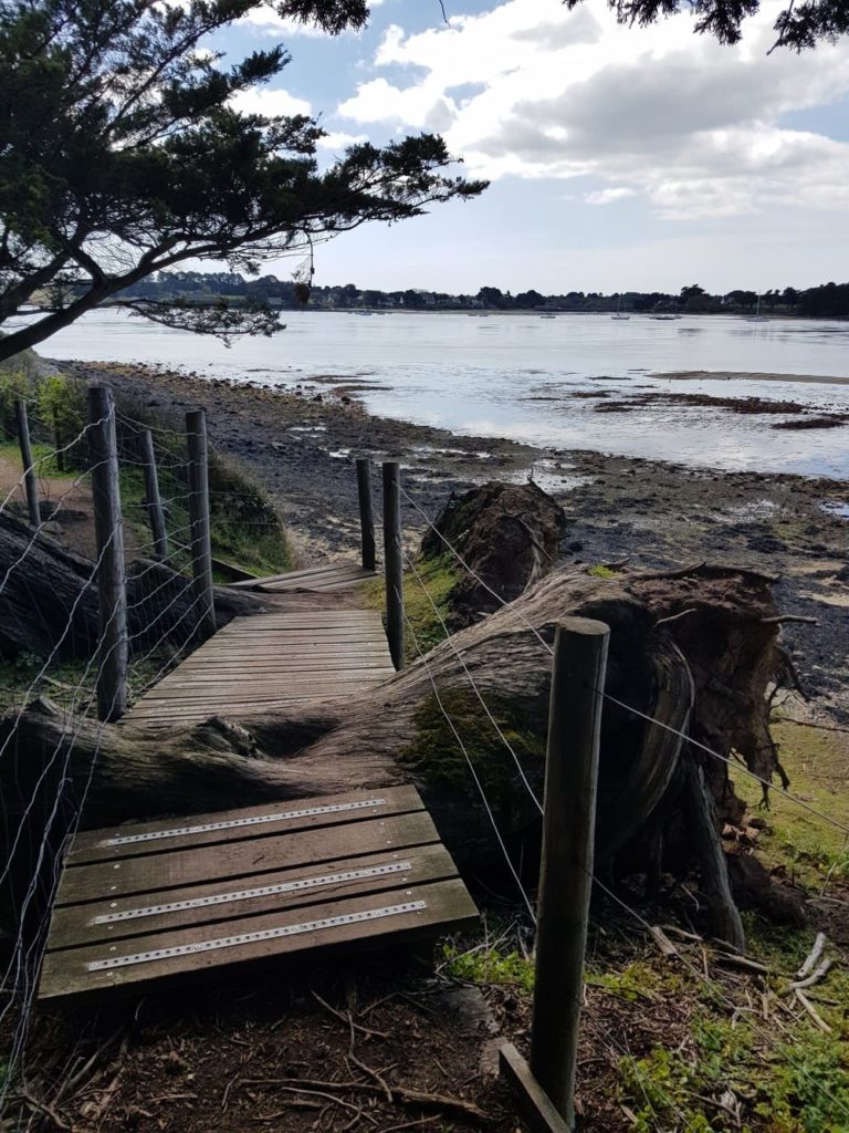 Randonnée sur l'île aux Moines : Pointe du Nioul