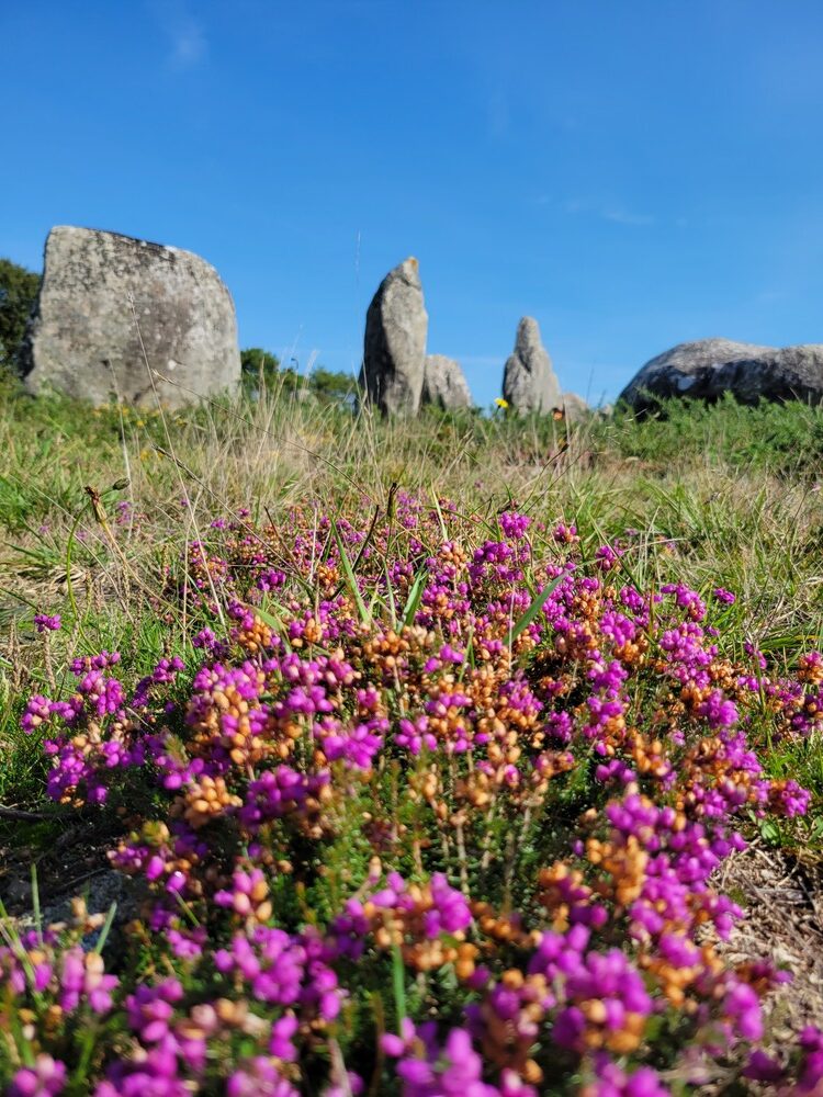 Alignements de menhirs de Carnac