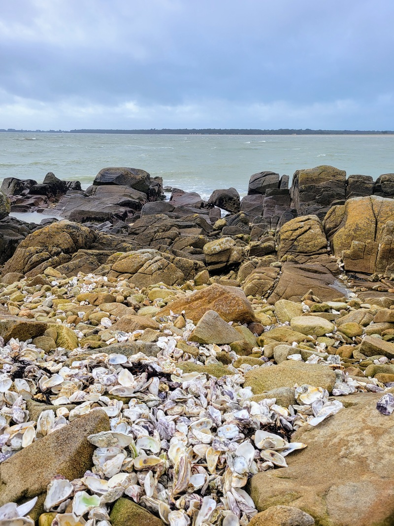 Sentier des douaniers de Carnac