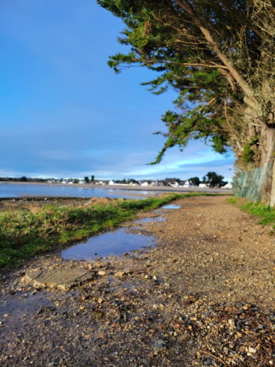 Randonnée dans le Morbihan : Tour du Parc, circuit 9 km - banestère