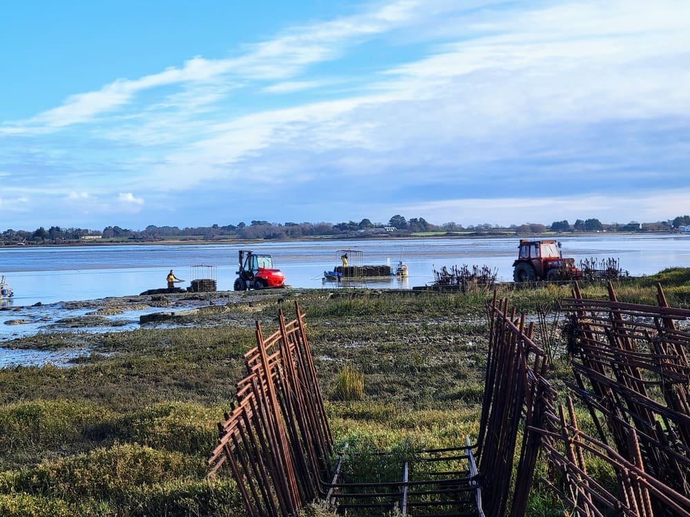 Randonnée dans le Morbihan : Tour du Parc, circuit 9 km - route de l'huître