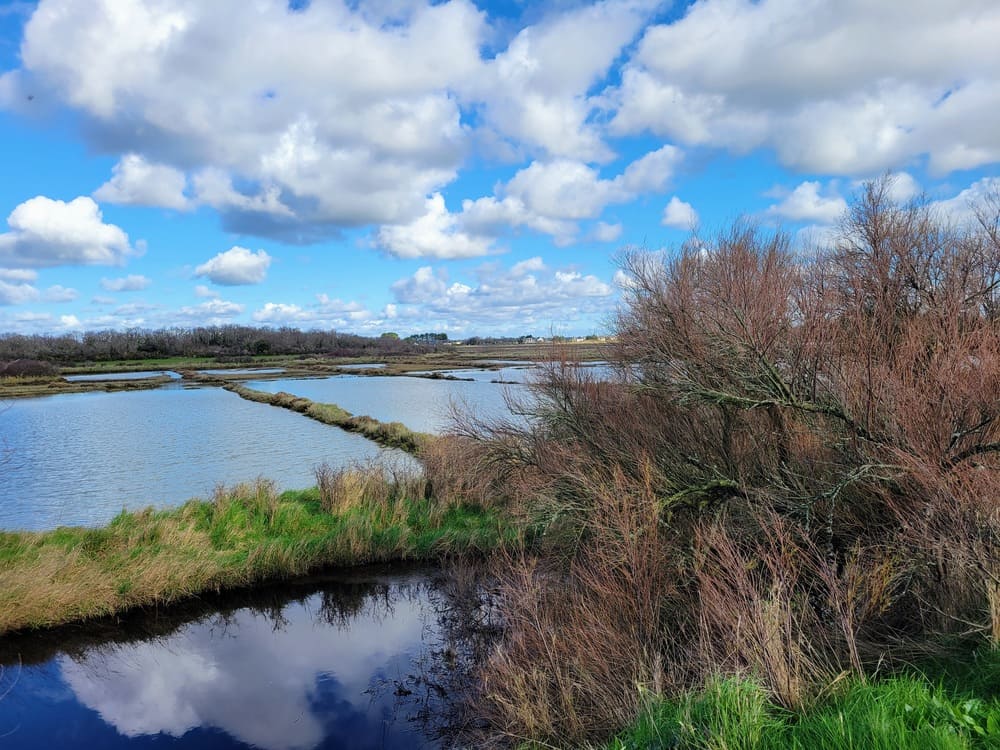 Randonnée dans le Morbihan : Tour du Parc, circuit 9 km - marais salants