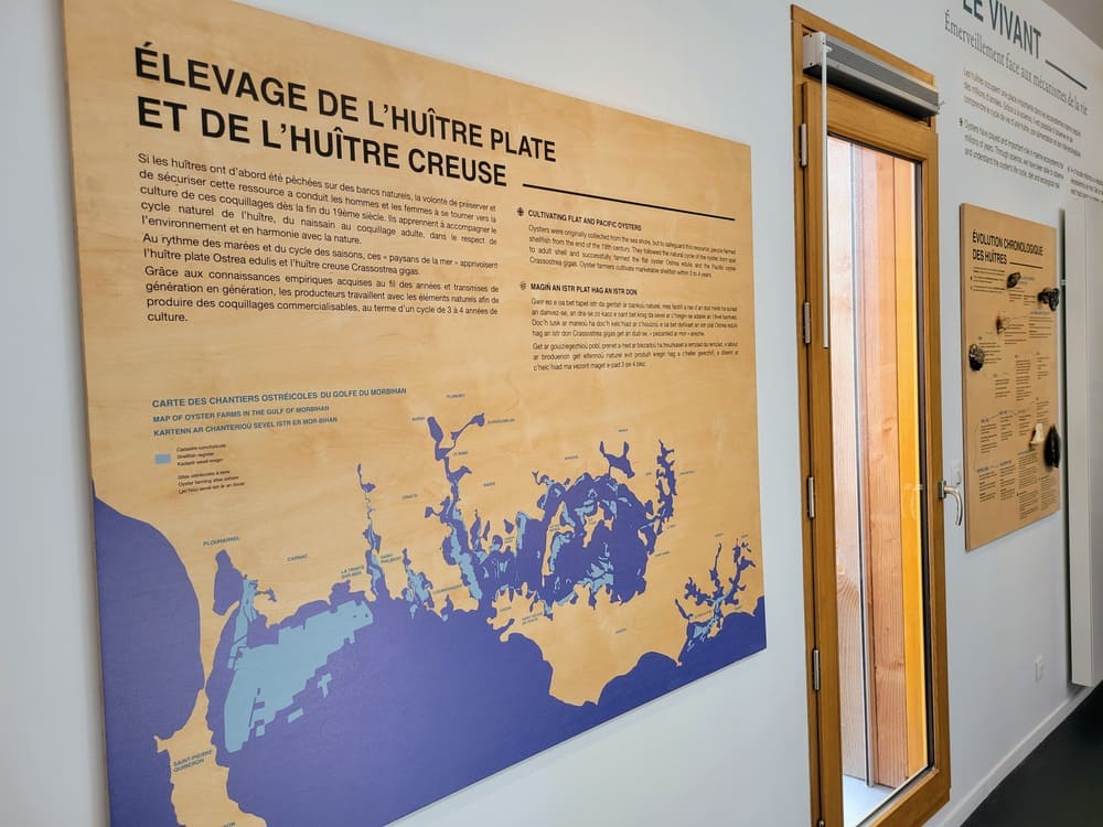Visite d'Ostréapolis, centre d'interprétation dédié à l'huître dans le Morbihan au Tour du Parc.