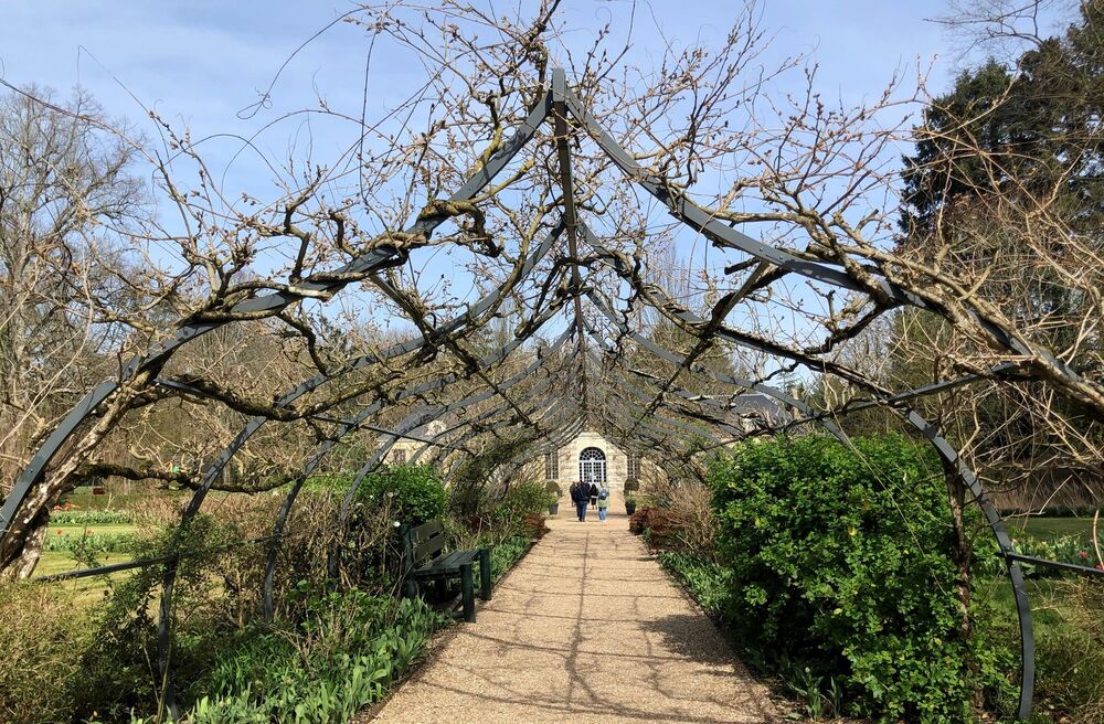 Château de Cheverny au printemps : bateau renversé en glycine