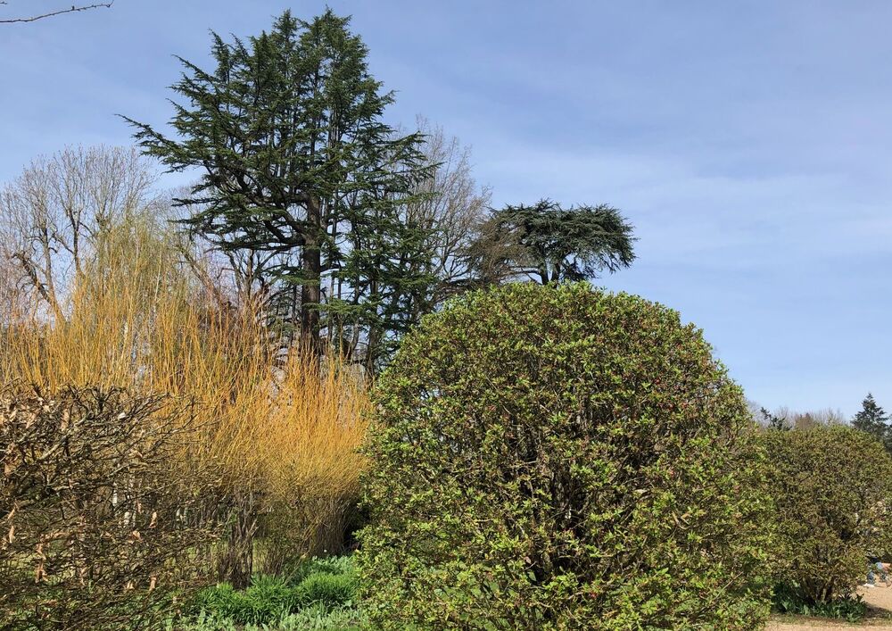 Château de Cheverny au printemps