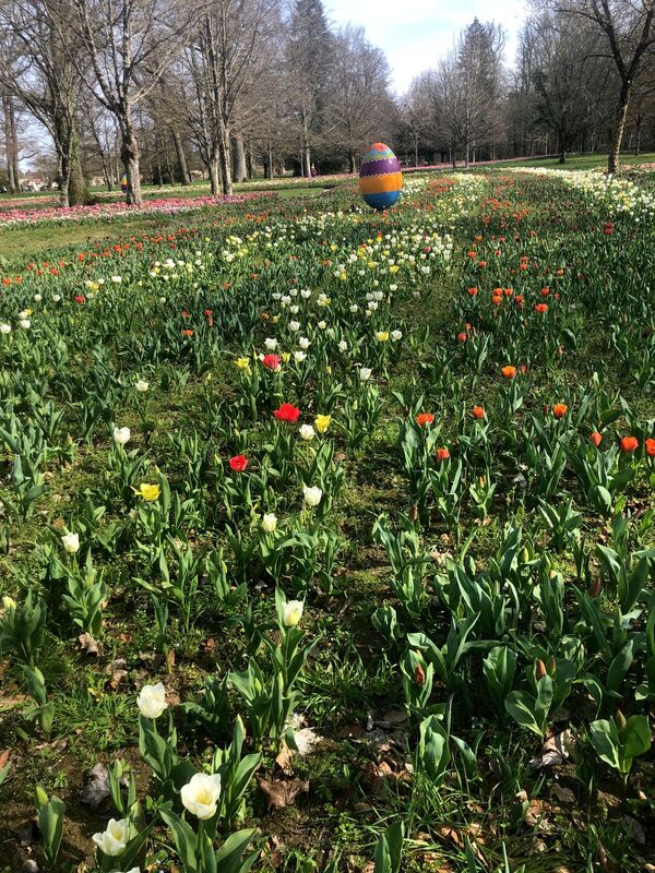 Château de Cheverny au printemps : tulipes