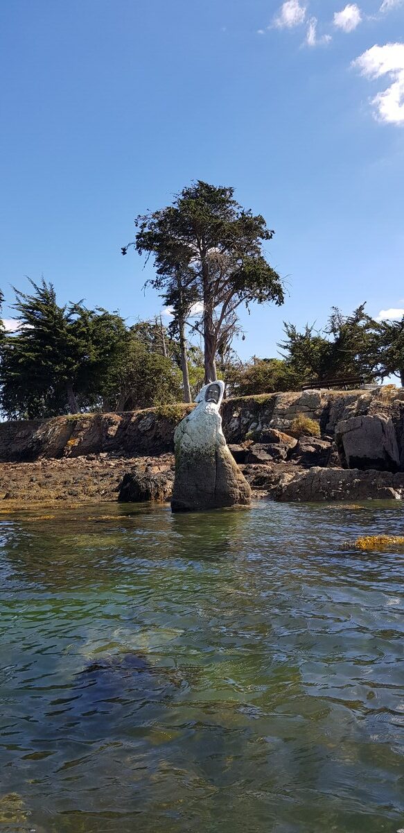 moine de Boëdic - excursion en kayak