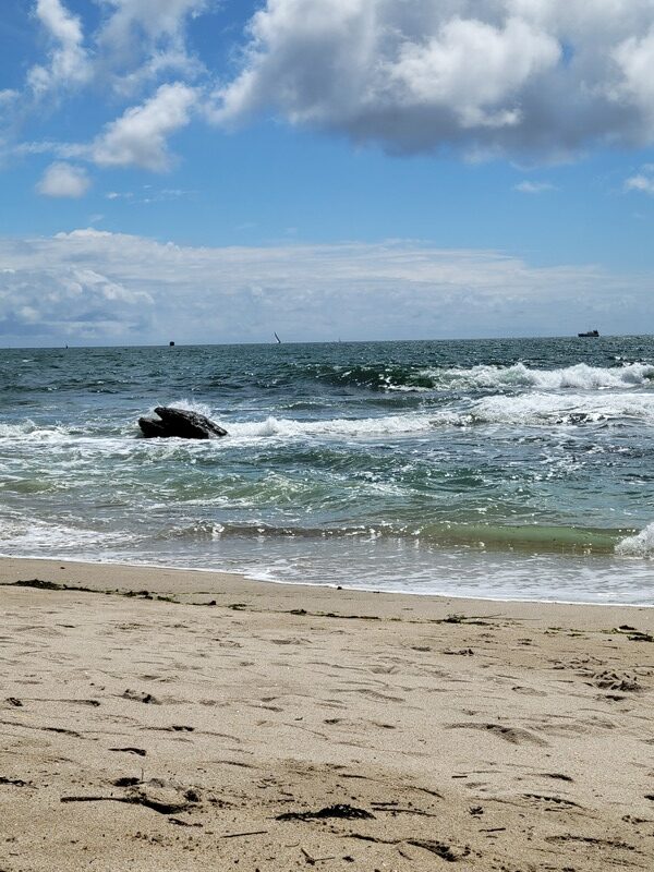 anse de Kerguélen - Larmor-Plage