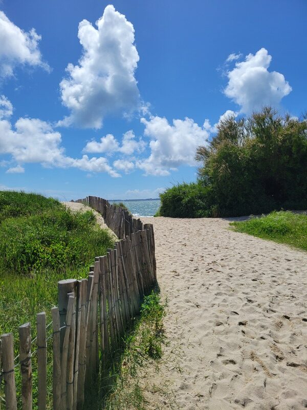 anse de Kerguélen - Larmor-Plage