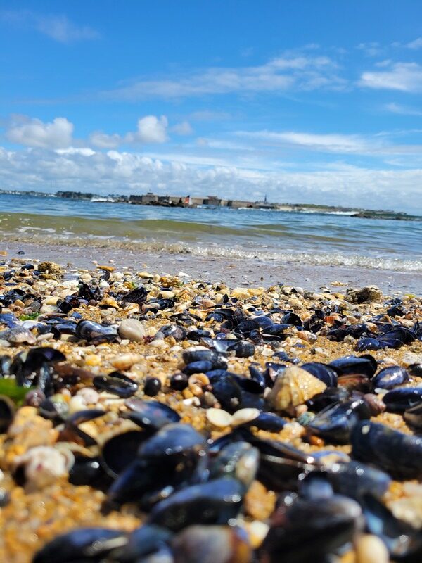 Larmor-Plage - plage de la Nourriguel