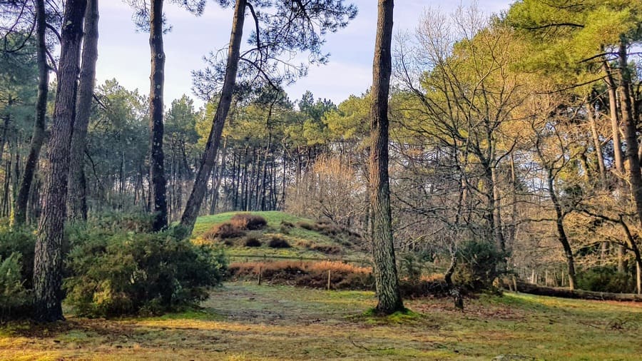 Tumulus du Bono (56) - Unesco
