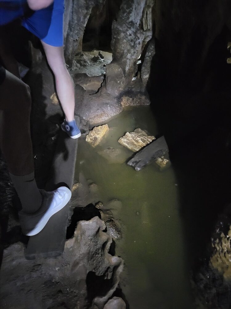 Journée dans le parc national de Khao Sok : excursion sur le lac Cheow Lan : mini rando