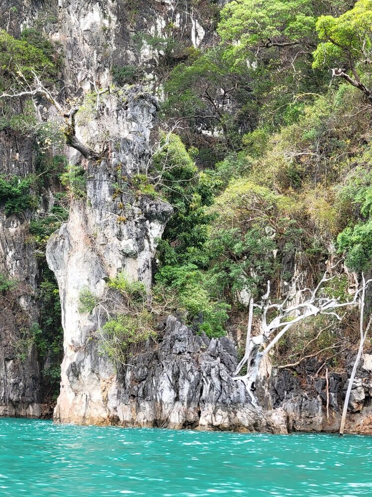 Journée dans le parc national de Khao Sok : excursion sur le lac Cheow Lan