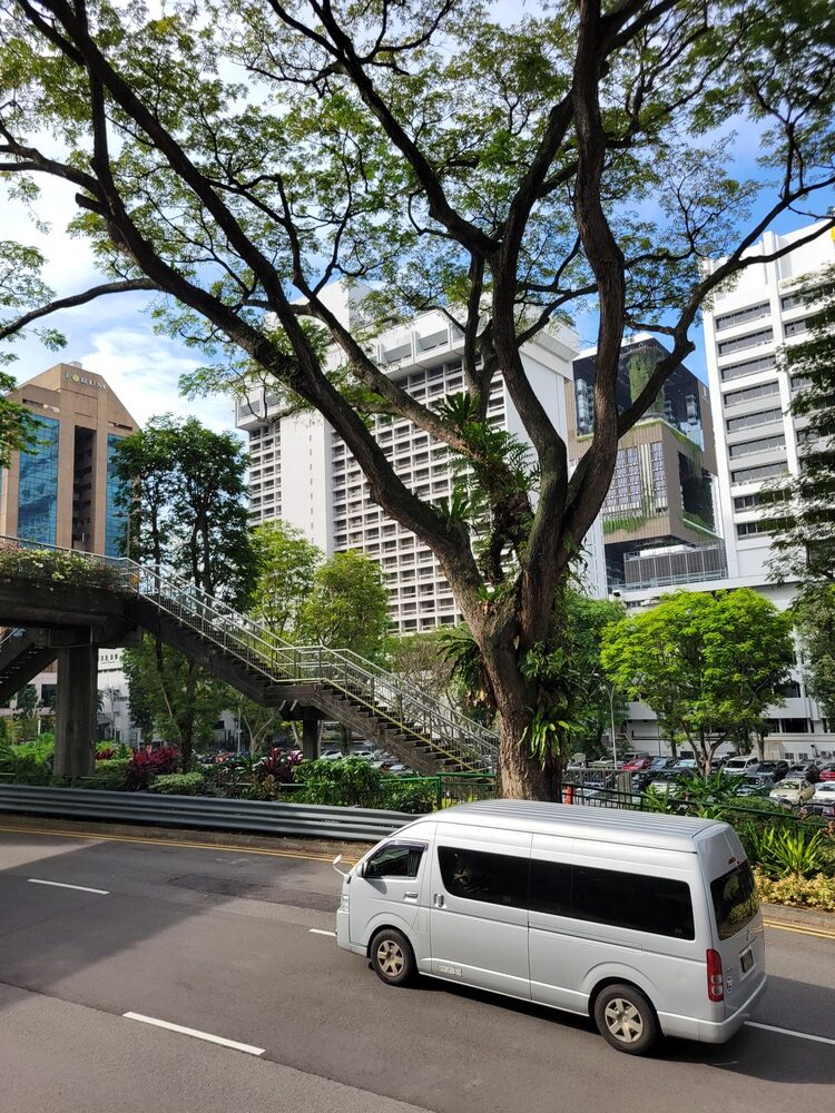 Visite de Singapour en Big Bus Singapore : architecture