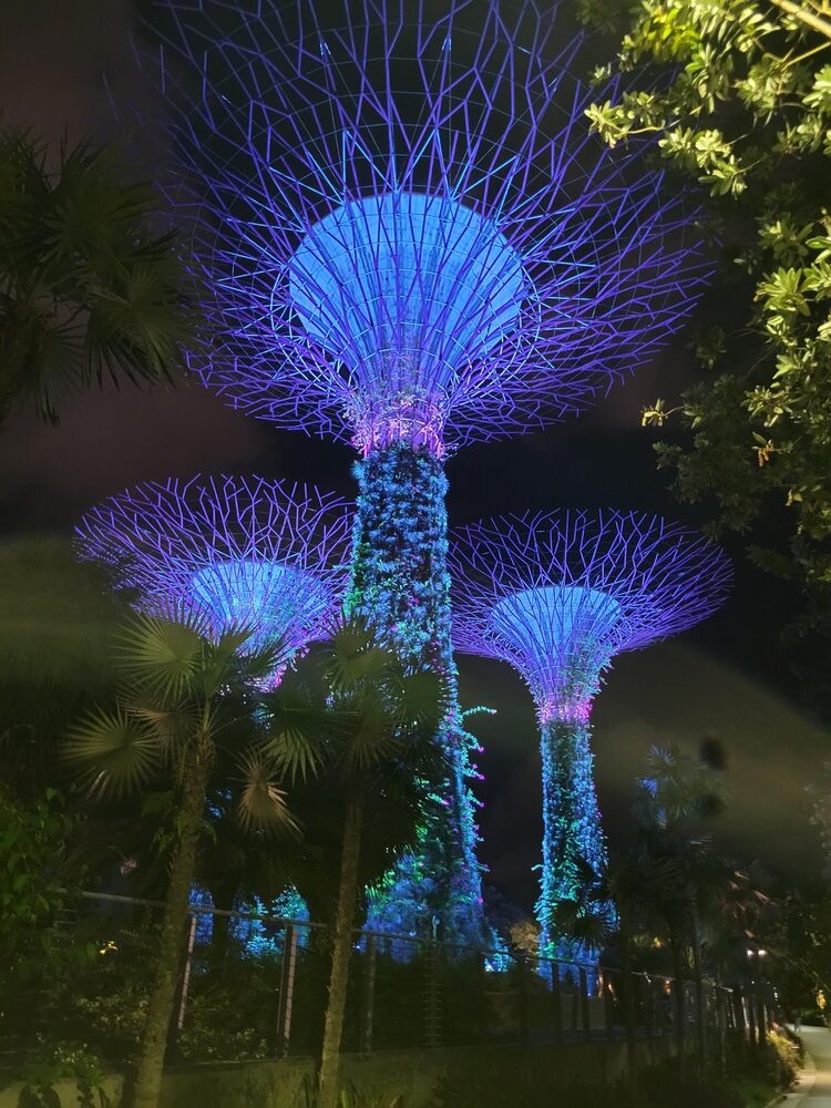 Visite de Singapour en Big Bus Singapore : gardens coach bay