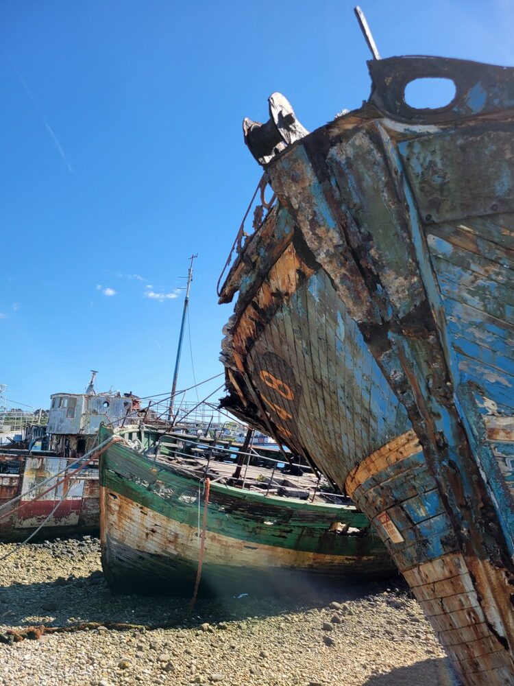 Découverte de Camaret-sur-Mer sur la presqu'île de Crozon (Finistère) : carcasse de langoustier