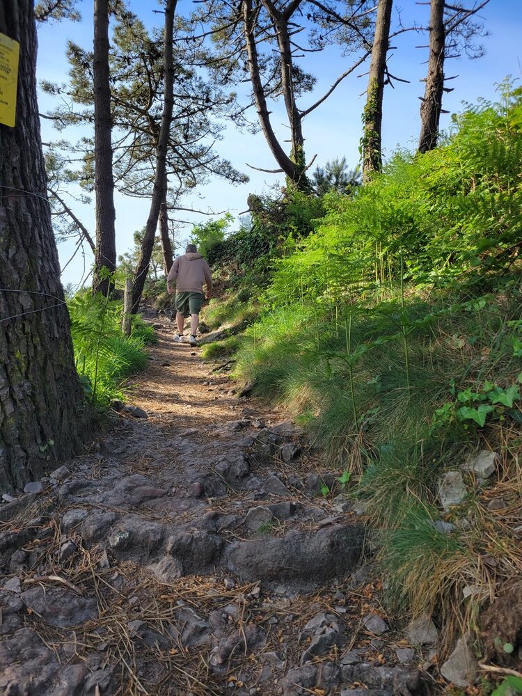 Plage de l'île Vierge sur la presqu'île de Crozon - rando
