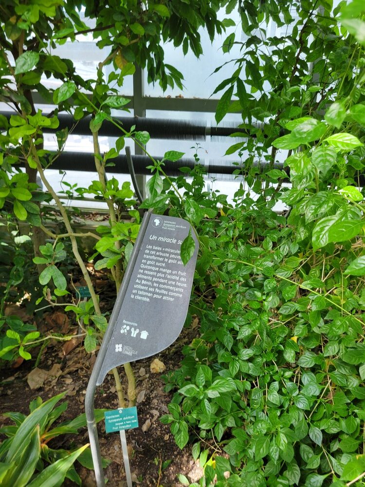 Jardin botanique de Paris : serres d'Auteuil