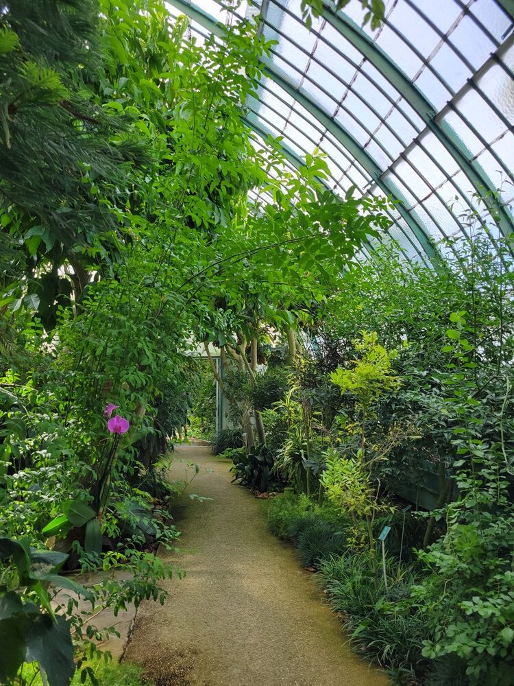 Jardin botanique de Paris : serres d'Auteuil
