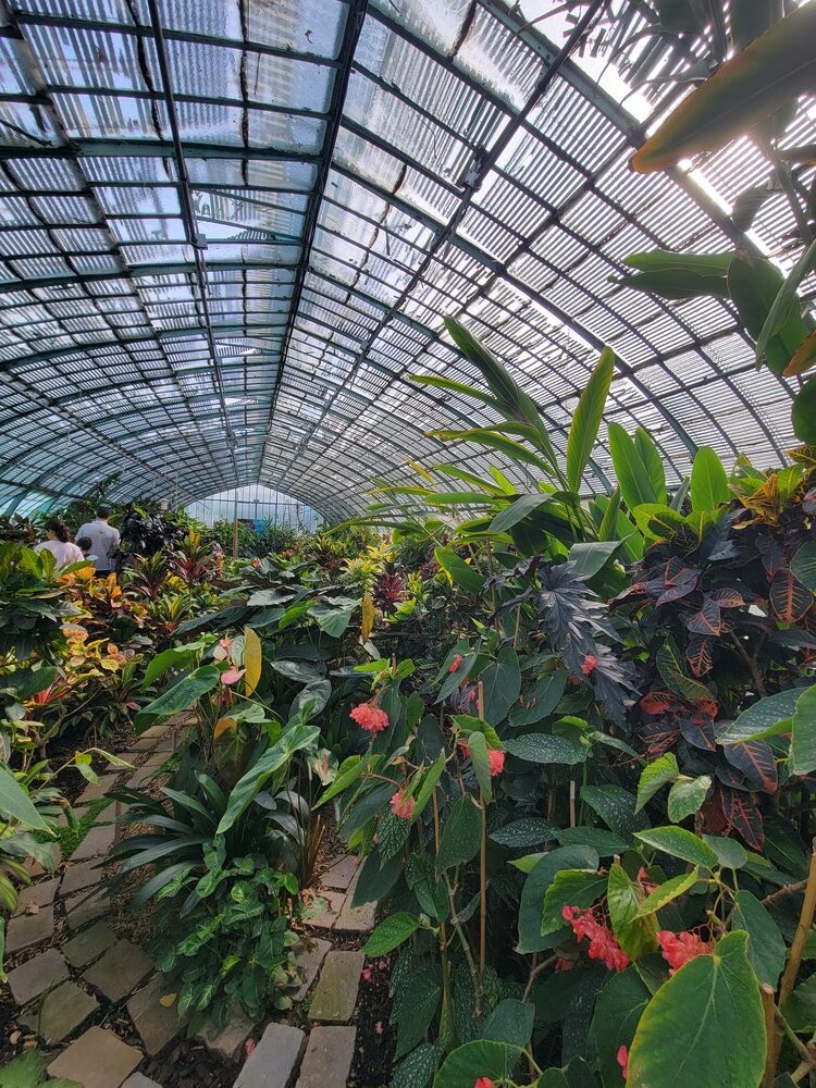 Jardin botanique de Paris : serres d'Auteuil