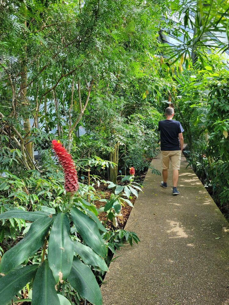 Jardin botanique de Paris : serres d'Auteuil