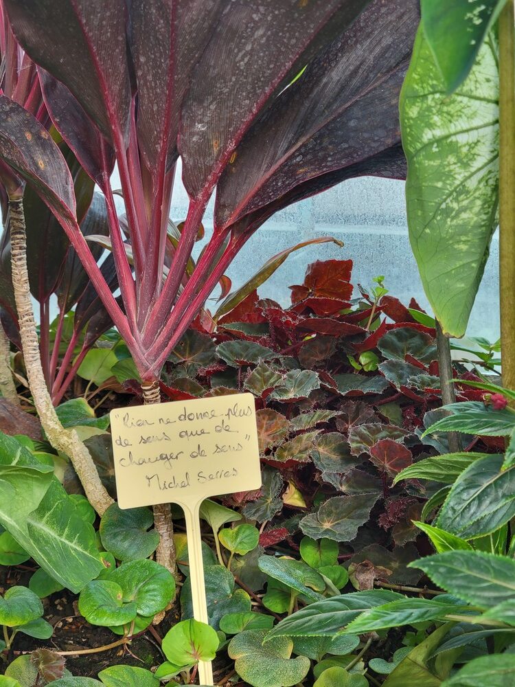 Jardin botanique de Paris : serres d'Auteuil